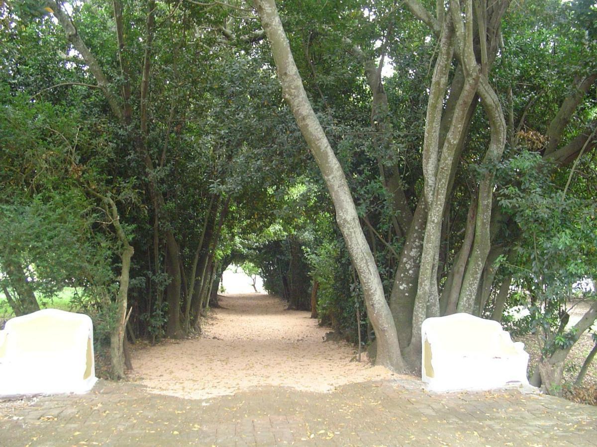 Hotel Rural Quinta De Santo Antonio Элваш Экстерьер фото